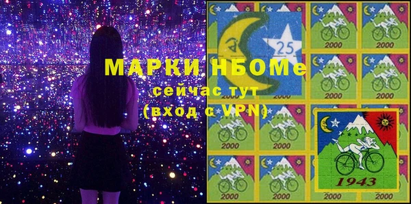 хмурый Алзамай