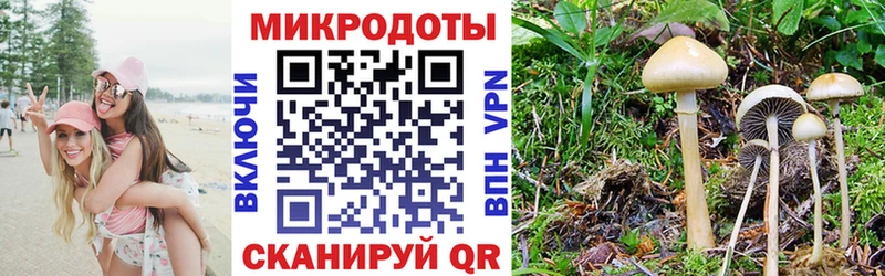 Псилоцибиновые грибы Psilocybine cubensis кракен зеркало Полярные Зори